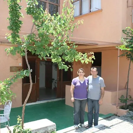 Umut シダ