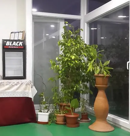 Umut ゲストハウス シダ